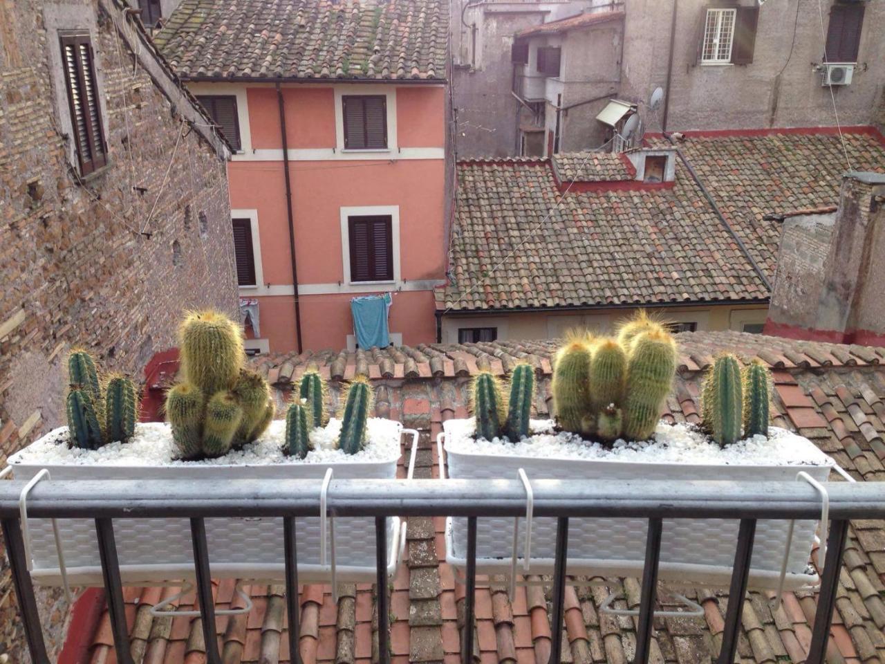 Bbhomerome - Campo Dei Fiori Balcony View Penthouse Zewnętrze zdjęcie